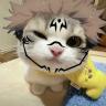 nakashhima