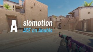 ACE on Anubis