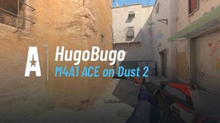 M4A1 ACE on Dust 2