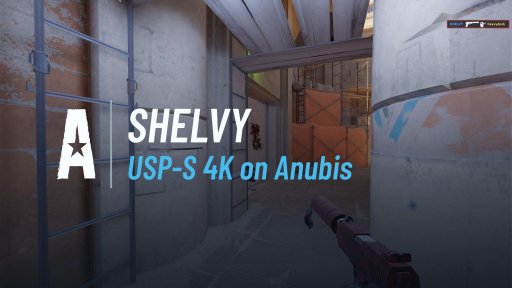SHELVY_ - USP-S 4K on Anubis on Anubis