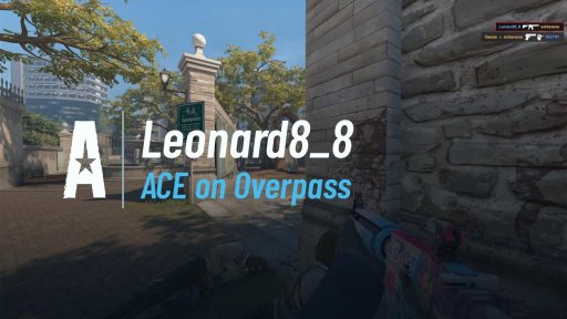 eyemLeonard - ACE on Overpass on Overpass