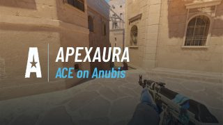 ACE on Anubis
