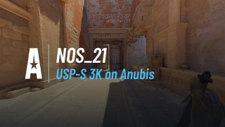 USP-S 3K on Anubis