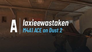 M4A1 ACE on Dust 2